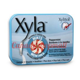 Xyla Peppermint Mints 6 x 100 pc 